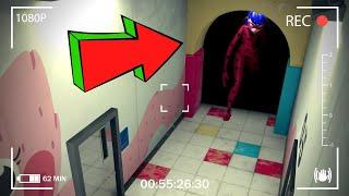 My Hidden Camera in Huggy Wuggy's Room Detected Creepy LADYBUG?! [Poppy Playtime]