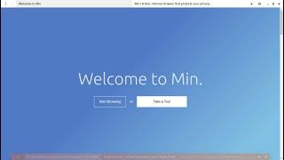 The MIN Browser