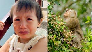 Diem was sad and cried when she remembered Monkey Kaka and Mit