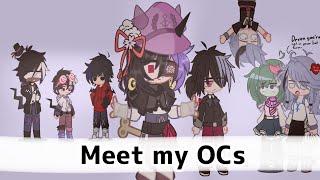 Meet my OCs || READ DESC