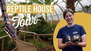 Reptile House Tour at Jimmy's Farm