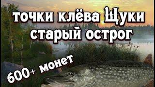 РР4 | Точки клёва щуки | Трофей | Старый острог | 600+ монет