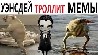 ПРИКОЛЫ! УЭНСДЕЙ ТРОЛЛИТ МЕМЫ!!! Угарные МЕМЫ, смешные истории от Доми шоу!