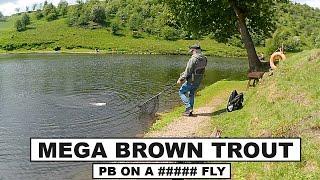 243. Catching a PB Brownie  Big Rainbows & Blue Trout  Fly Fishing UK