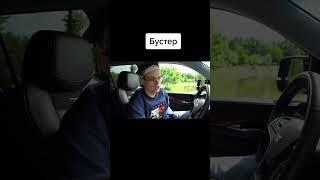 #rofls #buster #busterrofls #бустер #бустеррофлс #бустертикток