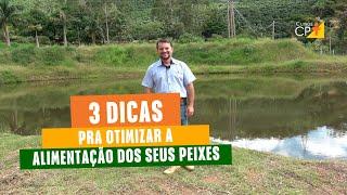 Como diminuir o custo na alimentação de peixes l Cursos CPT