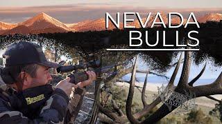 Nevada Bulls - Elk Hunt in Western Nevada