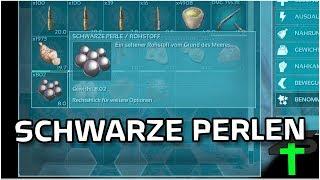 Schwarze Perlen Farmen | ARK | #132 | Items4Sacred mit Balui und Miri [GER]