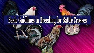 Basic Guidlines in Breeding For Battle Crosses