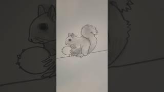 Draw a squirrel ️ Easy drawing lesson for beginners on how to draw a squirrel. #howtodraw