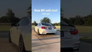 Loud Bmw M4 Cold Start