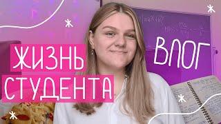 день из жизни студента-экономиста