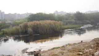 Visiting Ghazipur landfill near New Delhi - WASH Tour