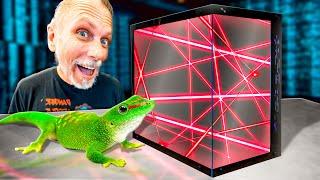 Testing Out The Most High Tech Reptile Cage In The World!