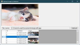C# Tutorial - Insert and Retrieve Image from SQL Server | FoxLearn