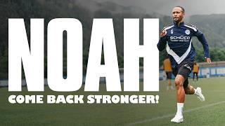 NOAH - Come Back Stronger! Die Dokumentation