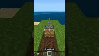 Bedrock X-Ray Glitch