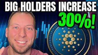 CARDANO ADA - BIG HOLDERS INCREASE 30%!!! WHAT FOLLOWS?!