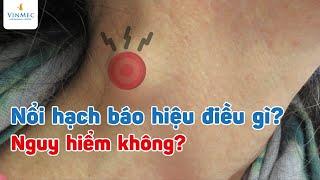 Nổi hạch báo hiệu điều gì? Nguy hiểm không?