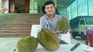 sầu riêng black thorn, ri6, musang king, sầu riêng ngon nhứt hiên tại(20/5/2023)