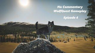 WolfQuest: No Commentary Gameplay Episode 4 (It's Too Peaceful...)