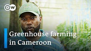 Smart agriculture in Cameron to combat food supply issues | DW News