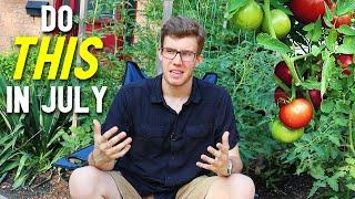 My Top Tomato Growing Tips for July!