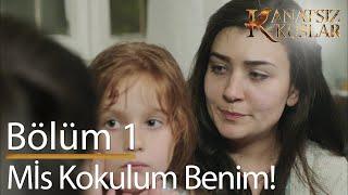 Mis kokulum! - Kanatsız Kuşlar 1. Bölüm