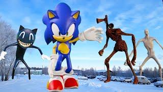 SONIC The Hedgehog VS Vika y Nika!