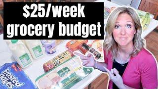 FEEDING A FAMILY ON $25 A WEEK | EXTREME GROCERY BUDGET CHALLENGE Week 3