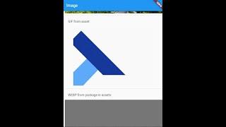 Flutter Tutorial - Image | Gif | asset  | Internet  | package | cached_network | extended | transp