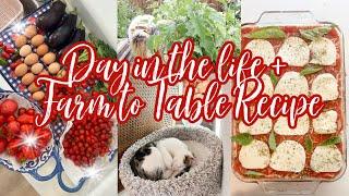 DAY IN THE LIFE // FARM TO TABLE DINNER RECIPE // GARDEN UPDATE 2024