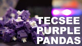 Forget Glorious Pandas, Get These | TECSEE Purple Pandas Review