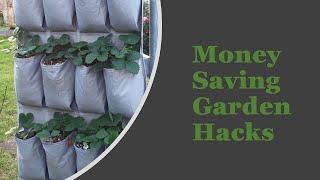 Money Saving Garden Hacks