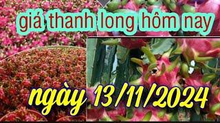 giá thanh long hôm nay ngày 13/11/2024