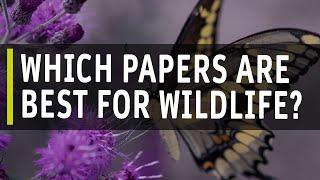 Choosing the right paper for Wildlife pictures - Fotospeed | Paper for Fine Art & Photography