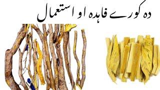 berberis lycum in pashto lectures | سمبلو | zyar largai | کورے |