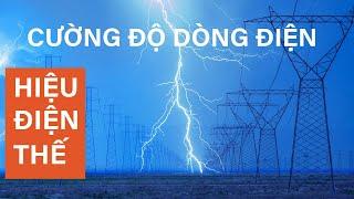 CƯỜNG ĐỘ DÒNG ĐIỆN_HIỆU ĐIỆN THẾ_What is Amperage_What is voltage?_Bài học thú vị của Trạng