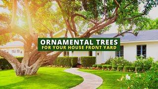 10 Best Ornamental Trees For Front Yard 