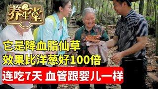 #养生堂 #中医 #健康 它是降血脂仙草，效果比洋葱还好100倍，连续吃7天，血管跟婴儿一样清澈干净