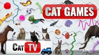 CAT Games | Ultimate Cat TV Compilation Vol 53 | 2 HOURS 