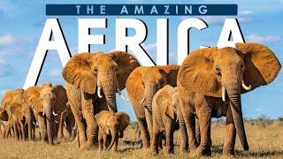 The Amazing Africa | Southern Africa