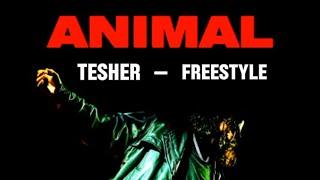 Animal (Tesher - Freestyle) Remix |Music Hub|