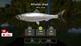 RUSSIAN FISHING 4 SHAD SPOTS SEVERSKY DONETS RIVER