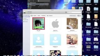 Little Snitch Mac OSX Software Review (And How To Get Someone's IP On Skype)