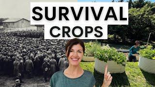 Survival Crops to Grow during Hard Times (with examples from history)