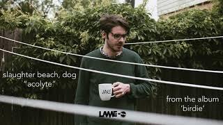 Slaughter Beach, Dog - Acolyte