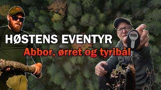 Høstens eventyr - Abbor, ørret og tyribål