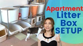Apartments: How To Solve Litter Box Problems + Cat Litter Box Review