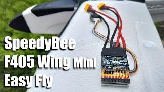 SpeedyBee F405 Wing Mini Easy Fly